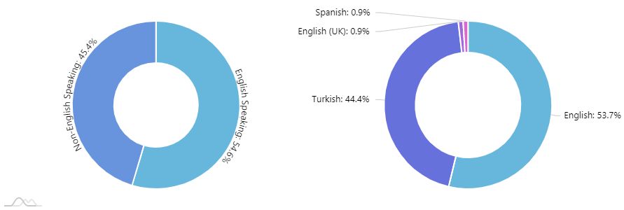 Twitter Language Stats by Circleboom Twitter