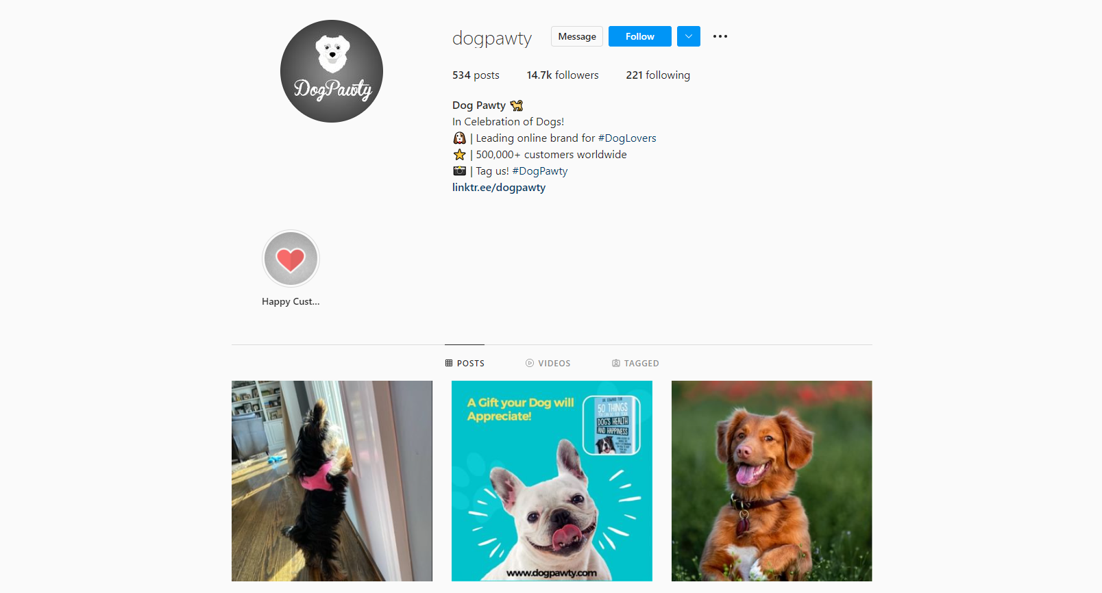 Dropshipping stores on Instagram