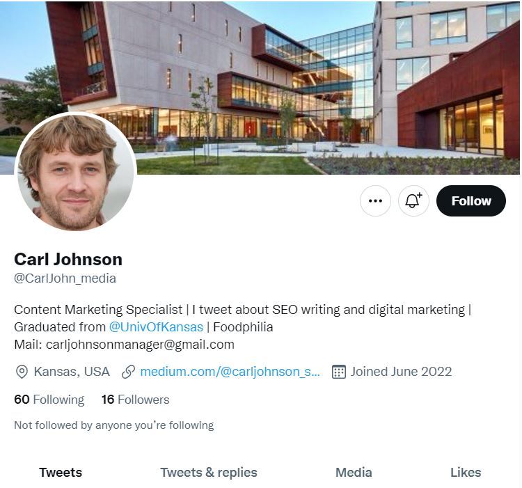 Twitter profile shows your followers and following list, along with old tweets and likes