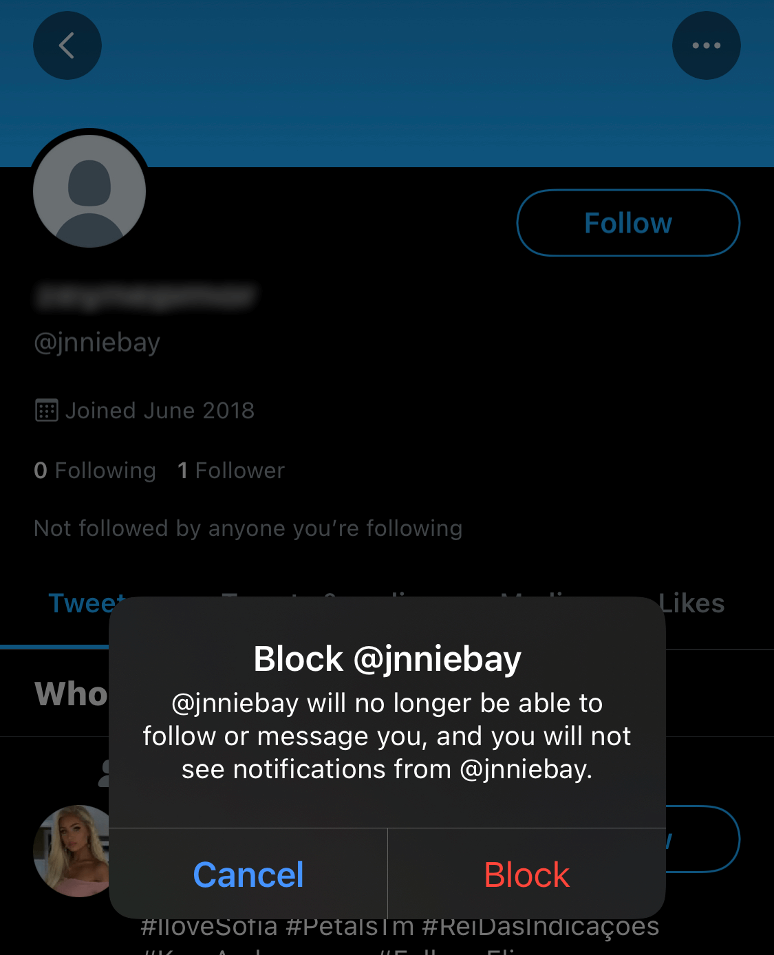 Block a Twitter profile
