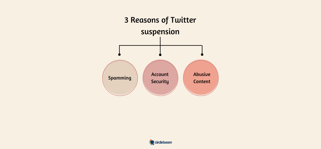 3 reasons for Twitter suspension