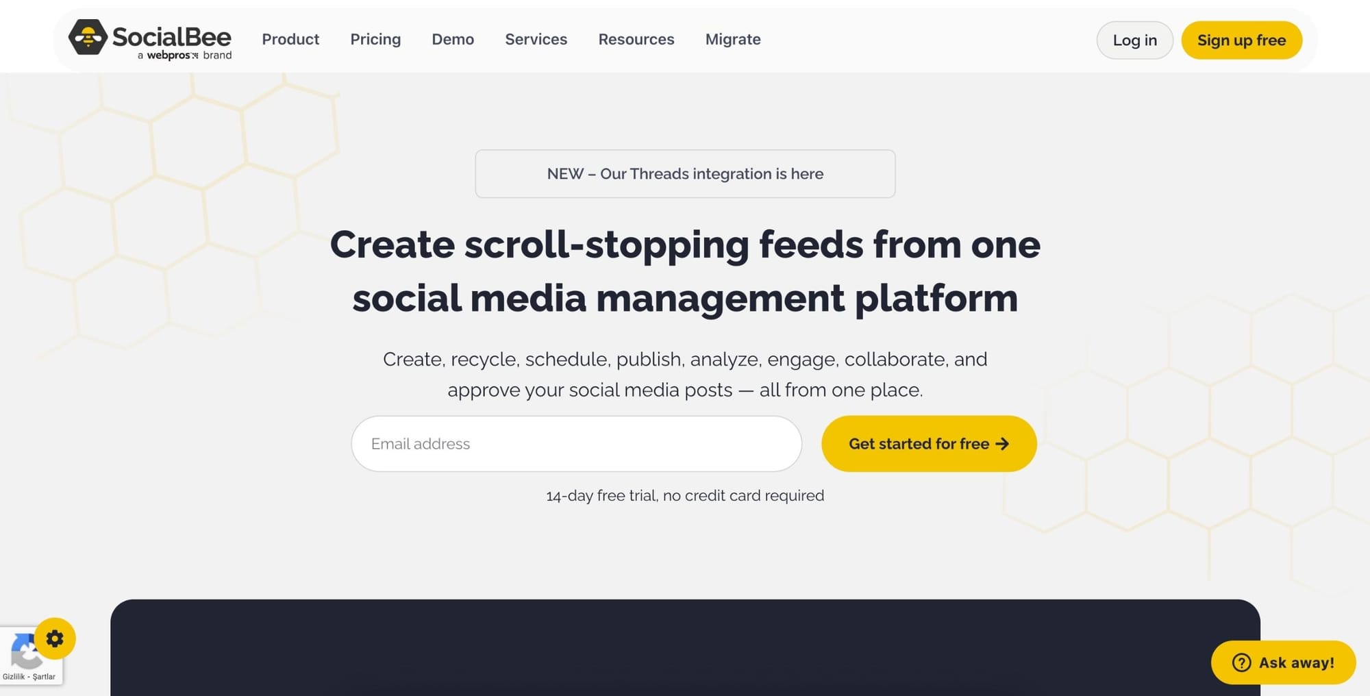 SocialBee