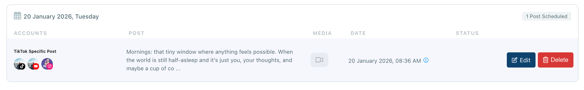 A video example scheduled for TikTok, YouTube and Instagram