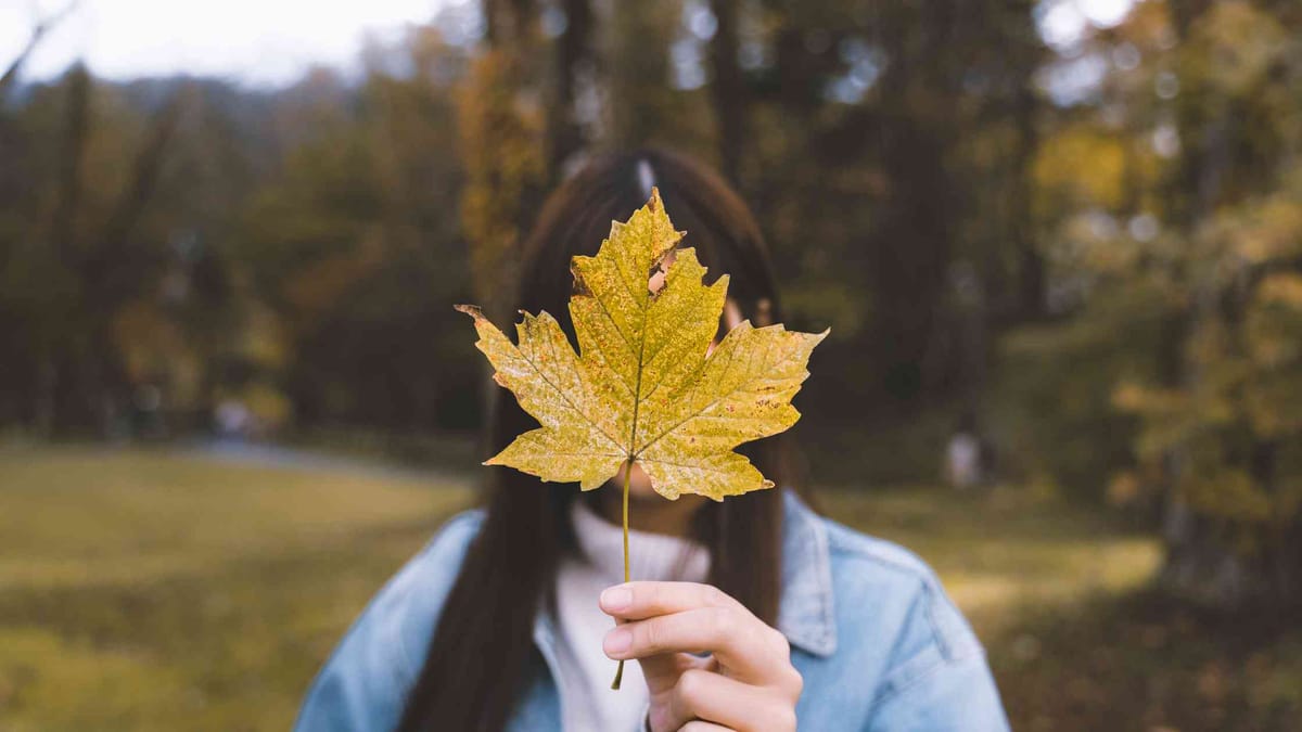 Can You Hide Posts On Instagram From Certain Followers