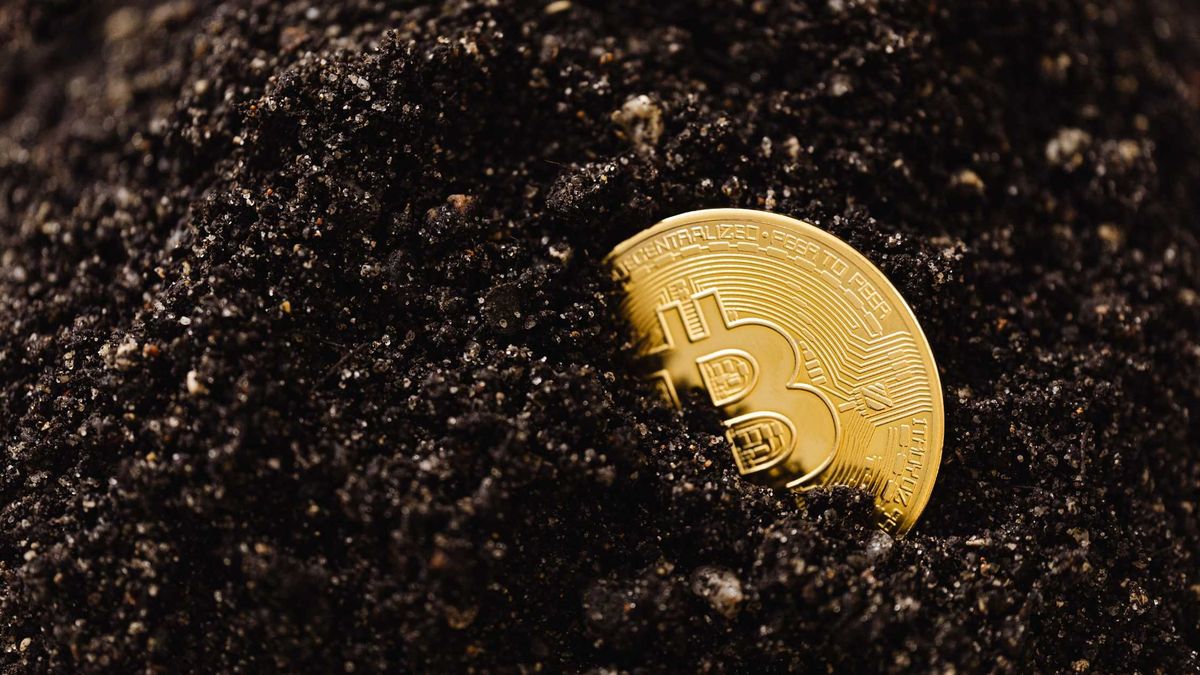 Track Crypto Masters Daily and Catch New Projects Early