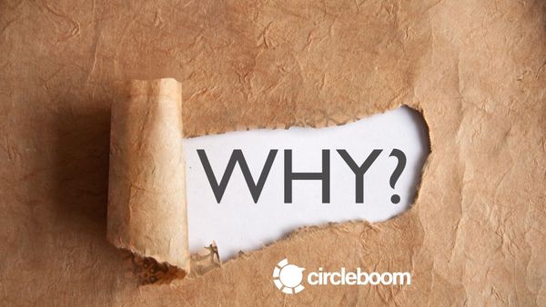 Why well-known businesses prefer Circleboom Twitter