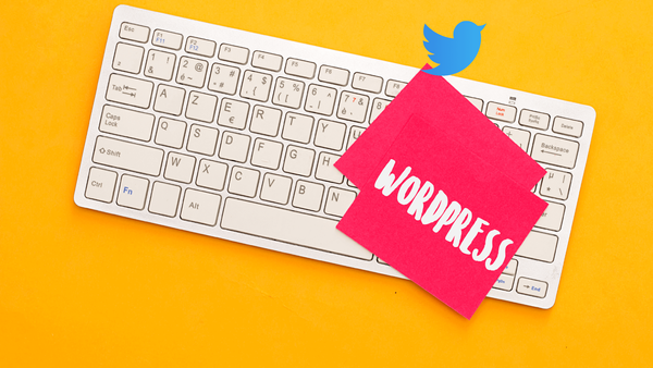 How to auto-post from WordPress to Twitter!