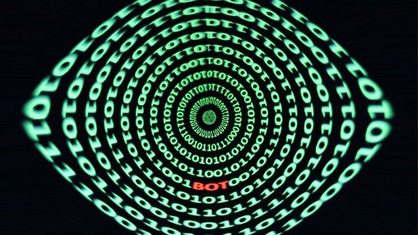 Should You Remove Bot Followers on Twitter?