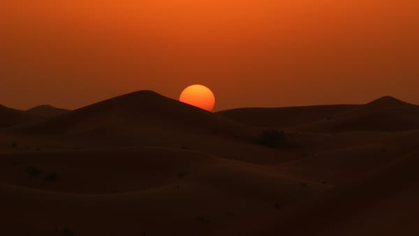 The Social Media Is Dead. Long Live the Social Media!