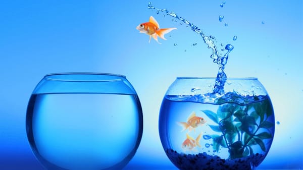 Is It Possible to Share Your Own Posts Outside Twitter (X)?