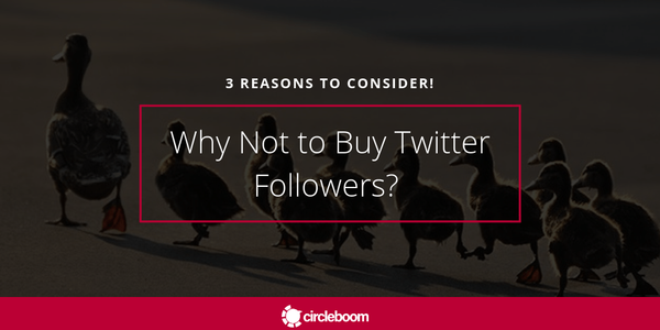 Why Not to Buy Twitter Followers? 3 Reasons to Consider!