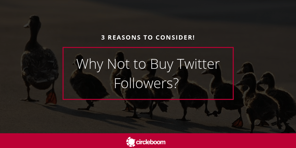 Is it a good idea to buy Twitter followers?